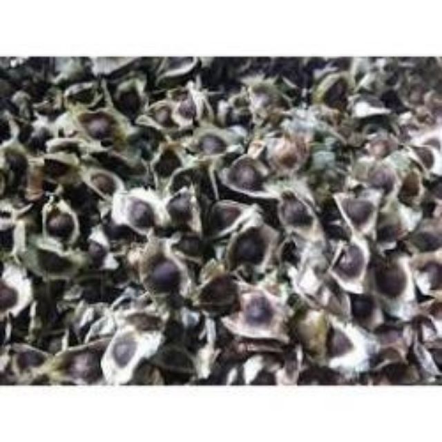 Xả hàng - 01kg hạt chùm ngây khô loại 1 683lz