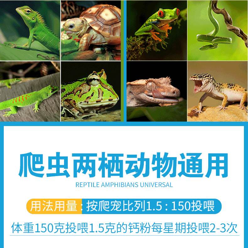 hủ nhỏ (5g Vitamin tổng hợp chiết hãng Repshop) dành cho bò sát