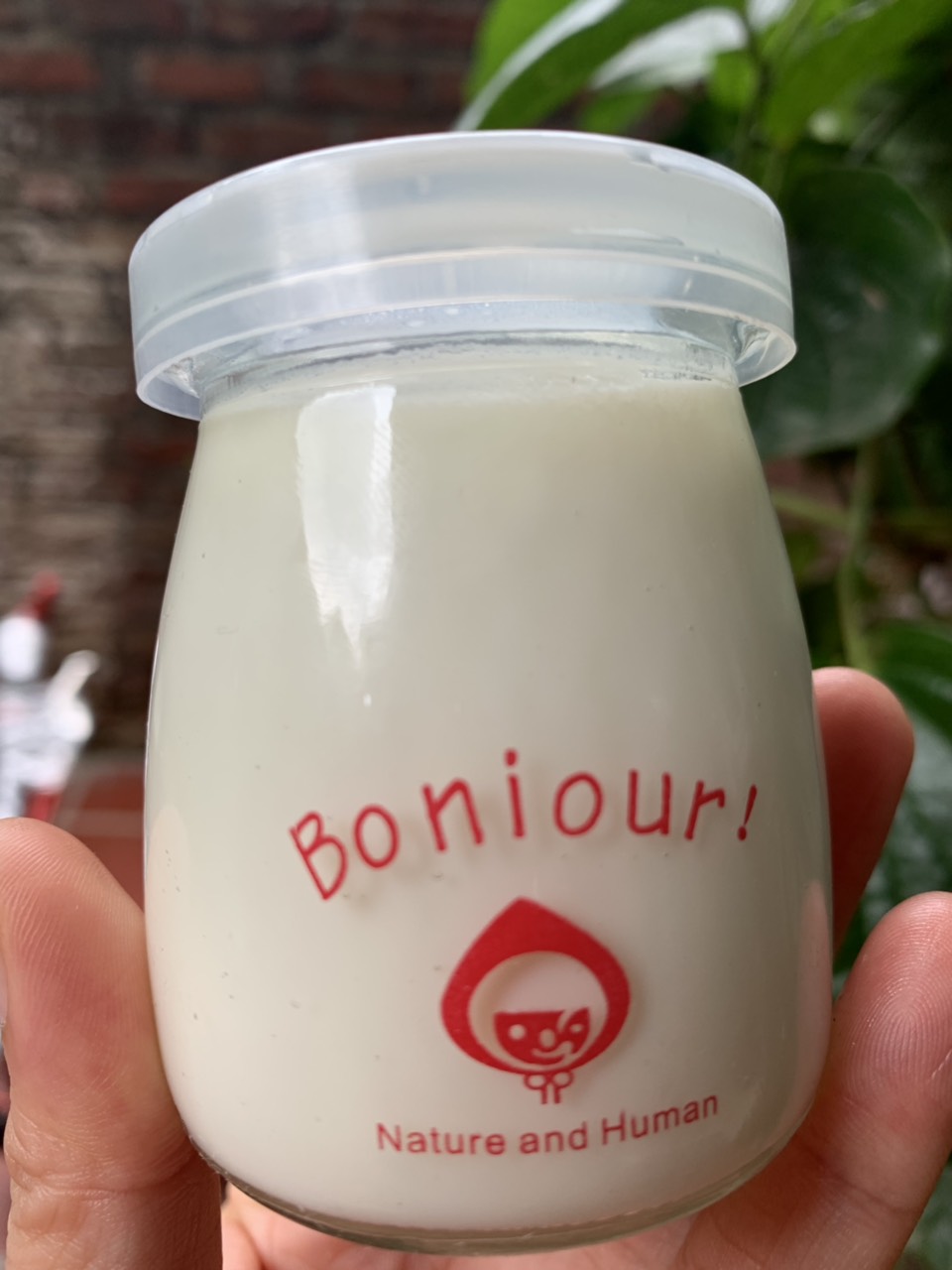 BỘ 12 CỐC THỦY TINH LÀM SỮA CHUA