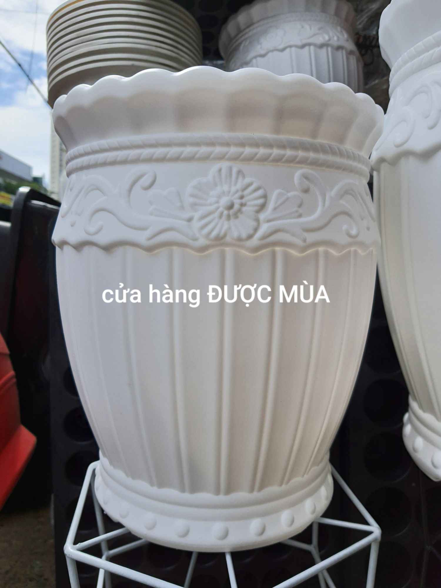 chậu lu sọc đường kính 26cm cao 30cm.