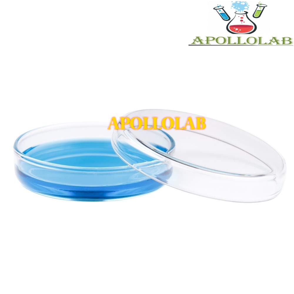 [HCM]1 CẶP ĐĨA PETRI THỦY TINH NHIỀU SIZE- ĐỨC
