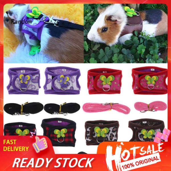 Đai đeo dắt thú cưng đi dạo in hình bươm bướm thiết kế dễ thương cho chuột Hamster/ thỏ