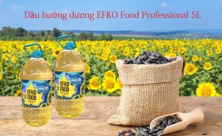 HÀNG NHẬP KHẨUDẦU HƯỚNG DƯƠNG EFKO FOOD PROFESSIONAL 5L thumbnail
