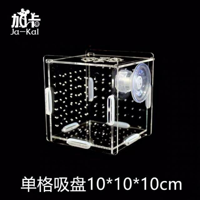 Box tép - Lồng dưỡng cá tép siêu trong - Có 2 size Đơn Và Đôi