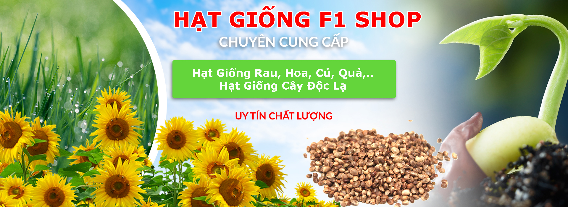 Hạt Giống Cây Xô Thơm (Sage) (20H) (112.F1)