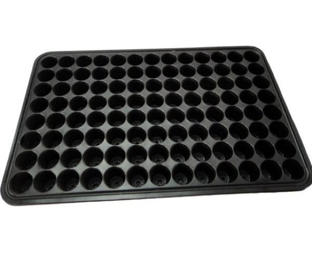 5 Khay ươm hạt vỉ ươm hạt 104 lỗ giá rẻ
