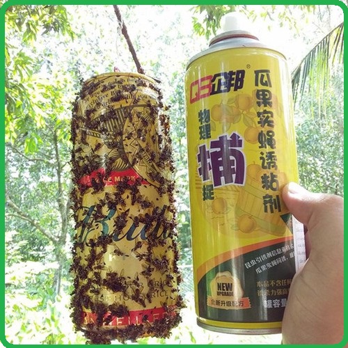 Chai xịt bẫy ruồi vàng, sâu bọ 450ml