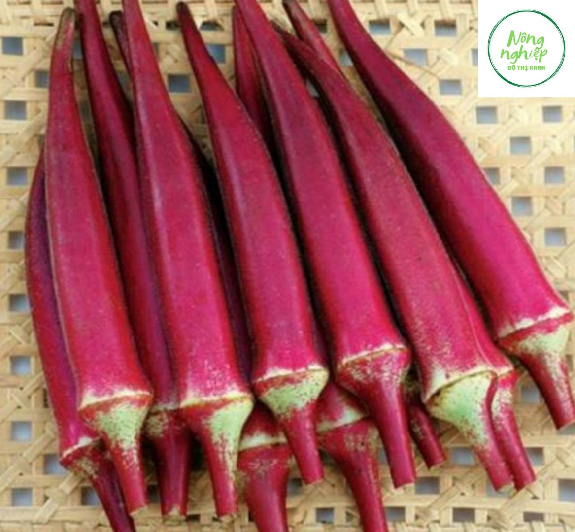 Hạt Giống Đậu Bắp Đỏ Dễ Trồng, Năng Suất Cao (2gr)