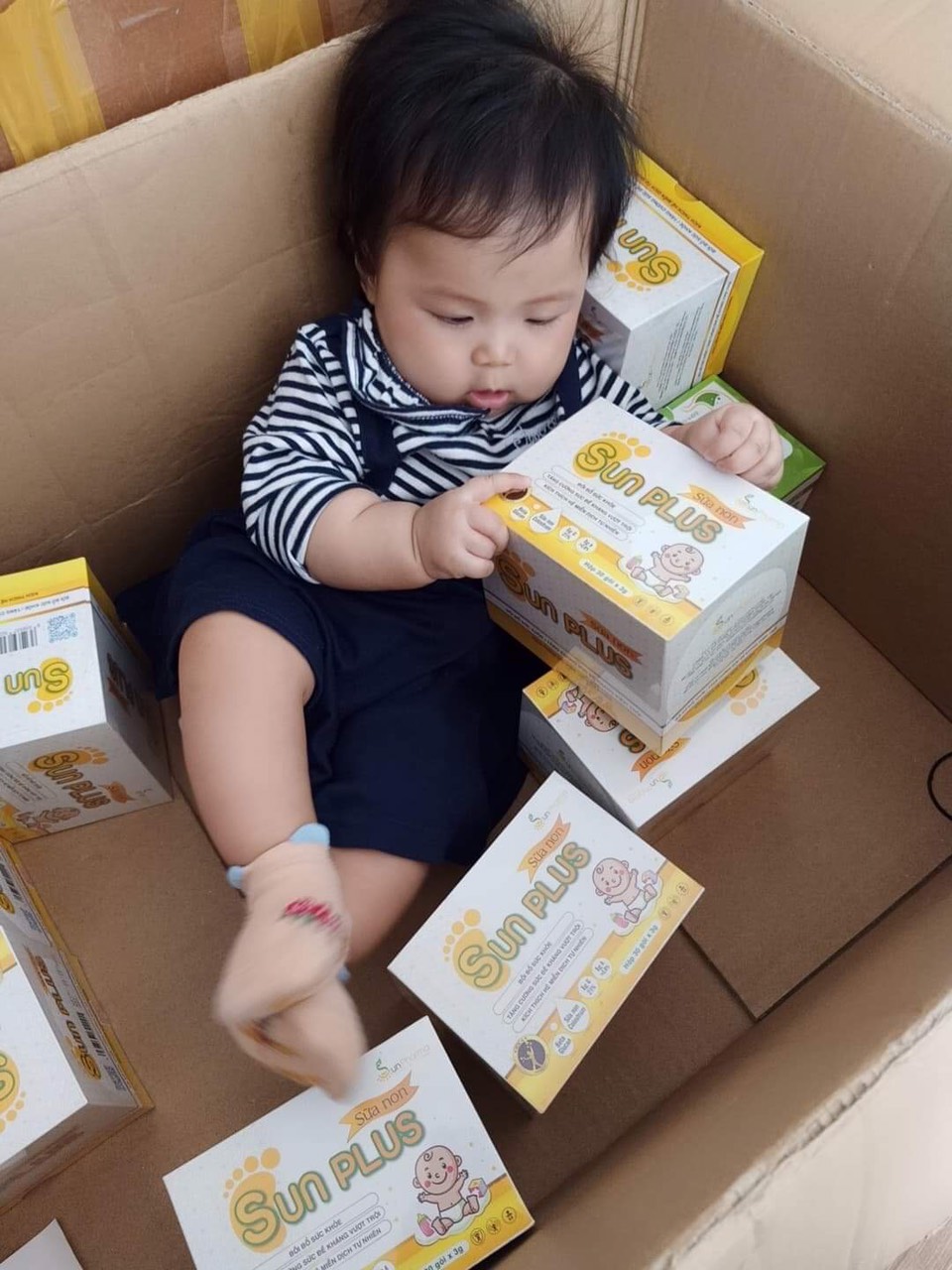 [HCM]Sưã non Sunplus