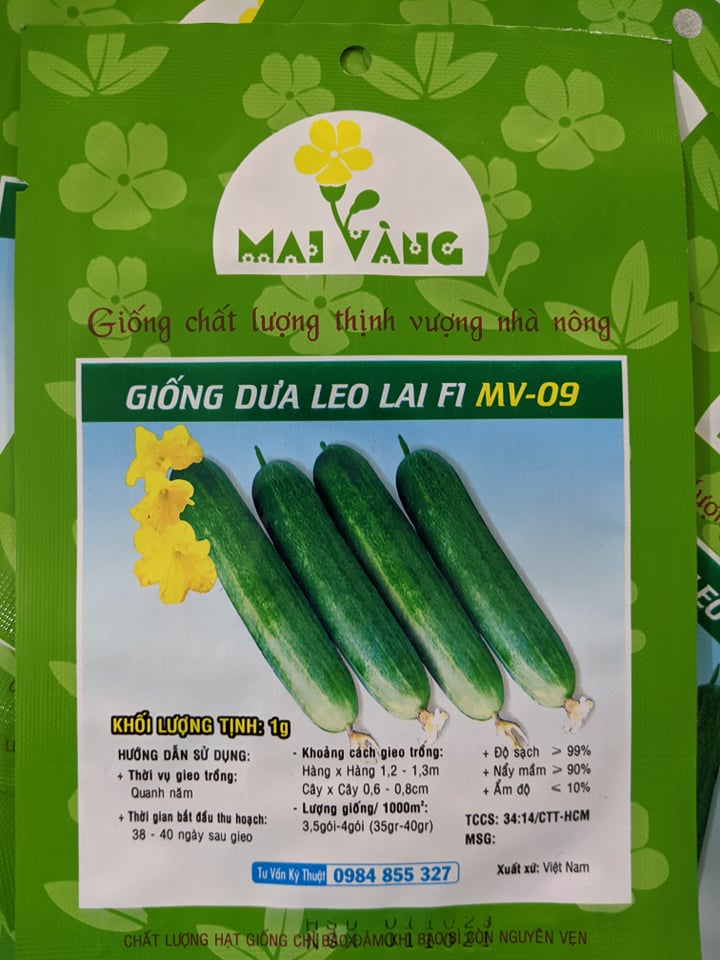 Hạt giống Dưa Leo F1 1g