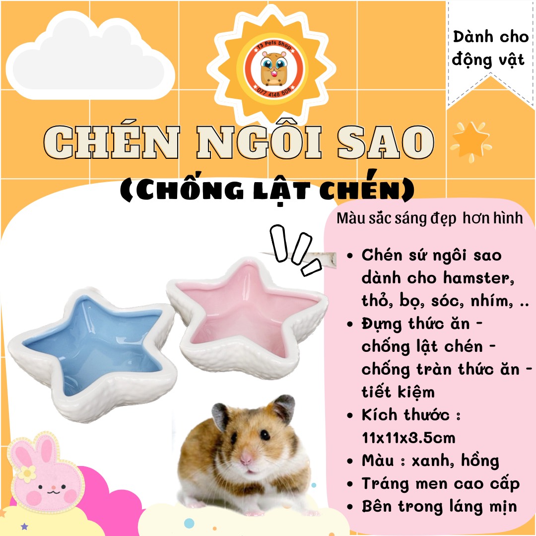 Chén sứ ngôi sao dành cho hamster, thỏ, bọ, sóc, nhím, ....- T3 PETS SHOP