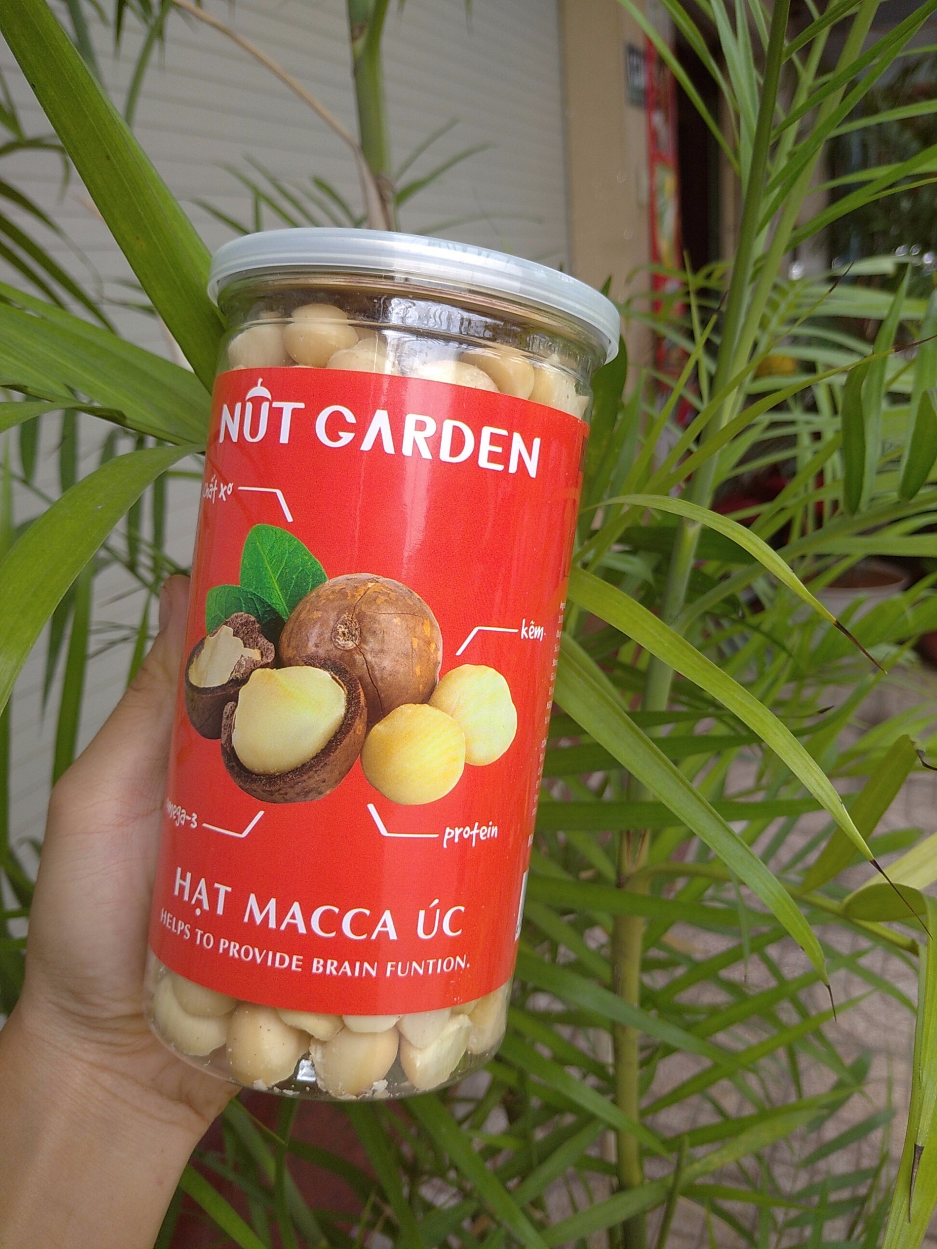 Nhân Hạt Macca Nut Garden - Nhập Khẩu Úc - 500gr