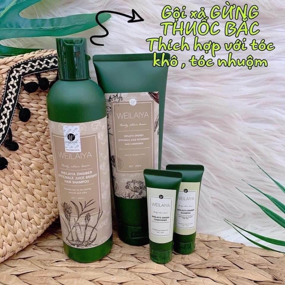 Bộ Dầu Gội Weilaiya- TẶNG KÈM CẶP MINI