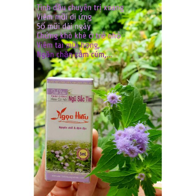 Tinh dầu hoa ngũ sắc - ngọc hiếu 5ml