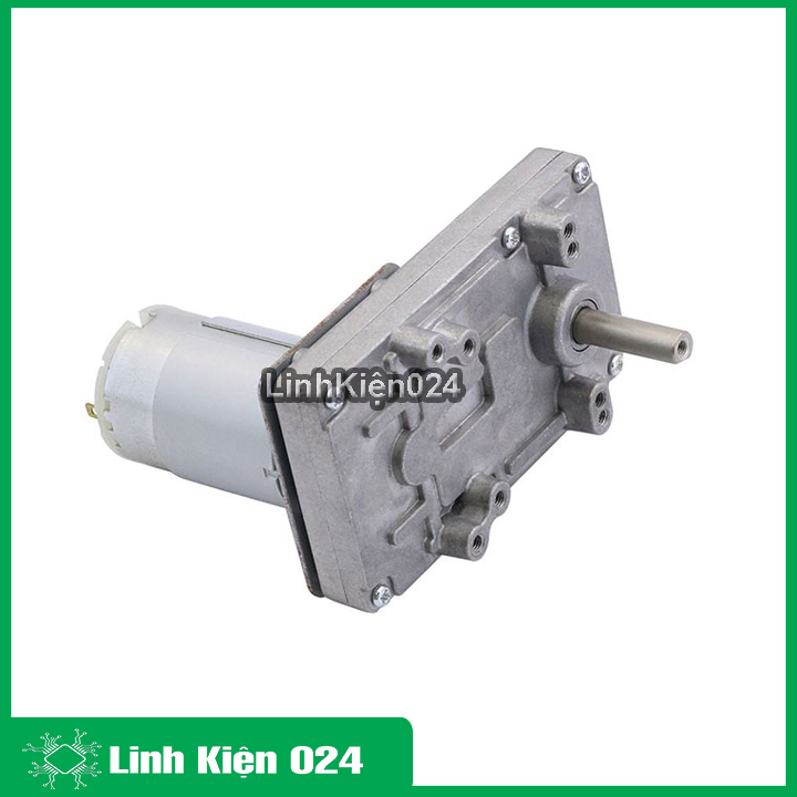 Động cơ giảm tốc, động cơ phát điện DS400 6-24VDC