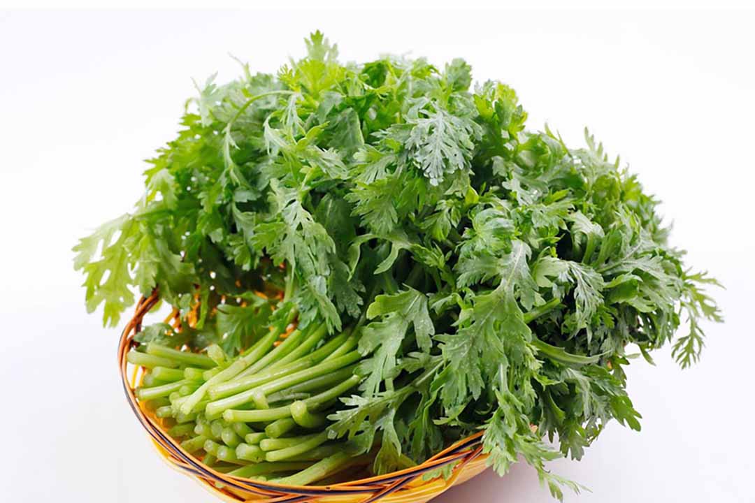 Hạt giống cải cúc tẻ ( tần ô ) - gói 10gram - VTNT1
