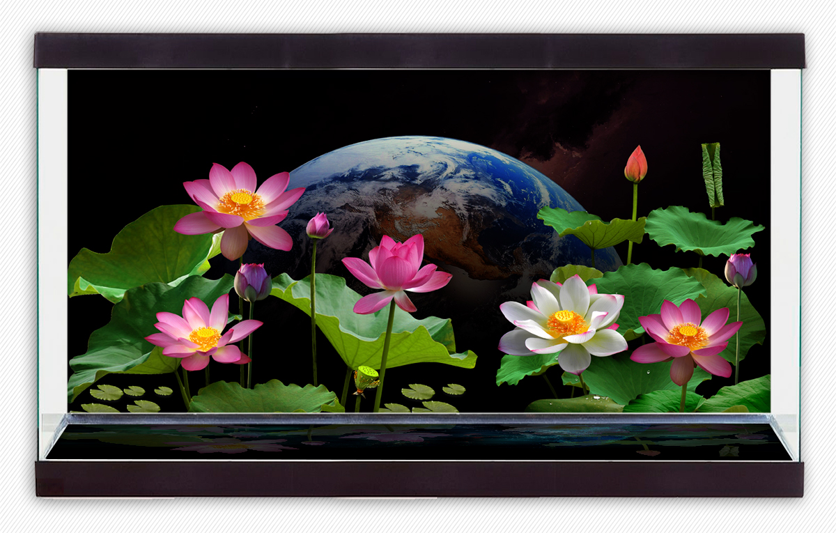 Tranh phông nền VTC dán hồ cá, bể thủy sinh Aqua-061