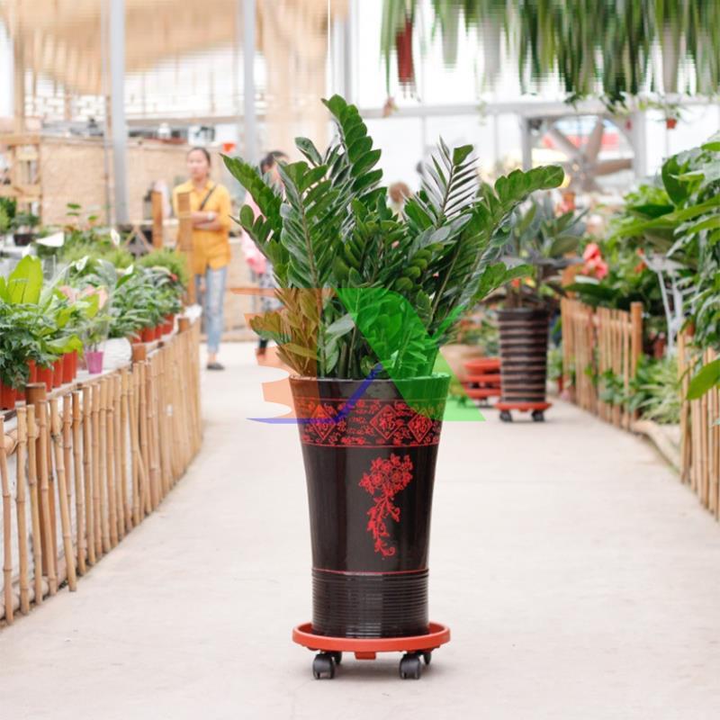 Shelf rack flower pot tdn-30 cm, potted plants, peach, blueberries, apricot 4 wheel, price to potted plant, the sole pots with wheels