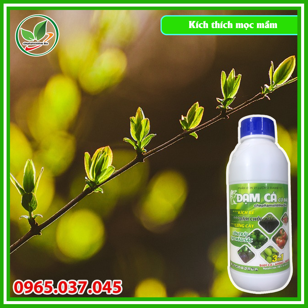 Phân đạm cá đậm đắc hữu cơ sinh học Bio. Chai 1l