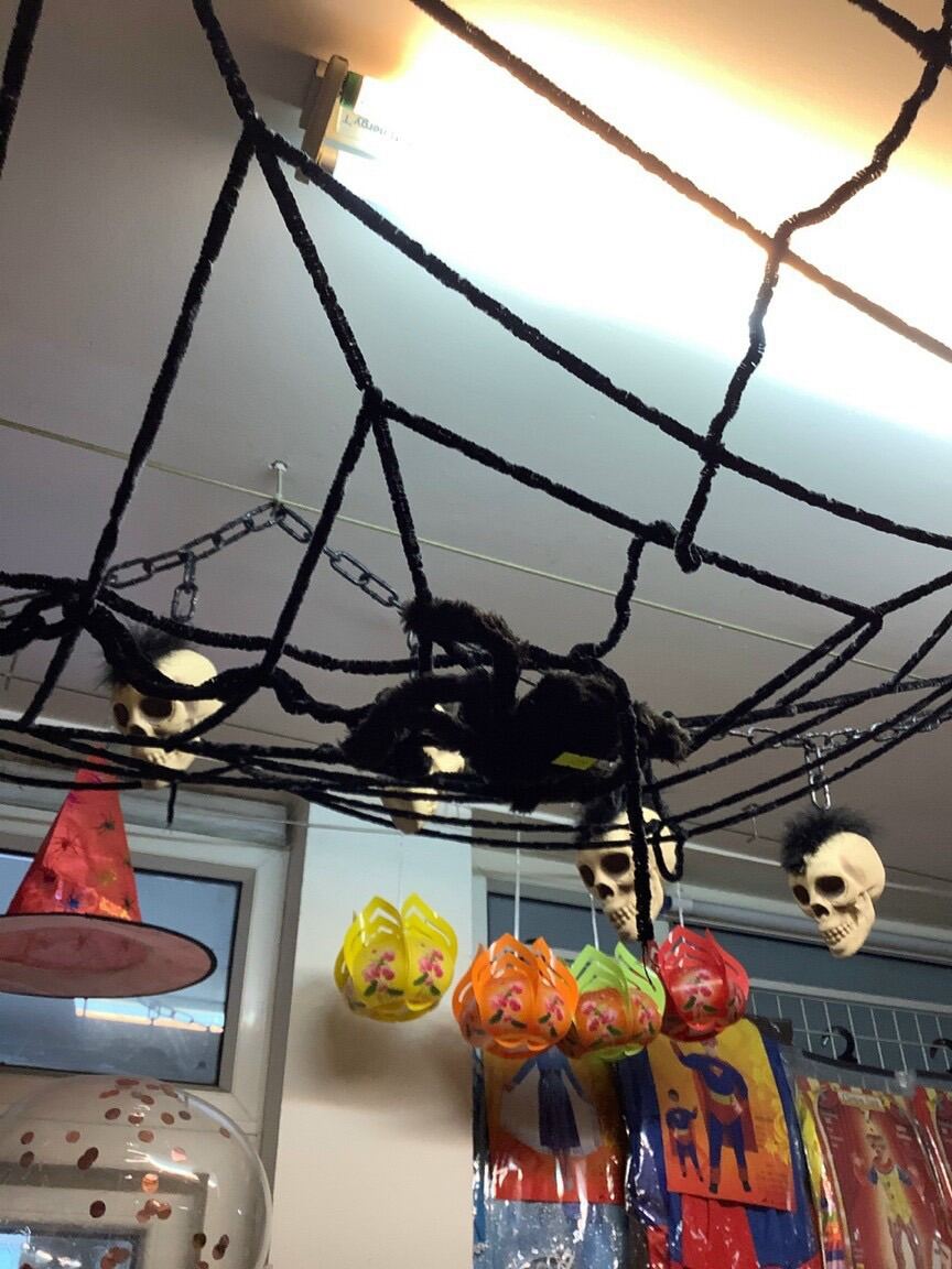 [MUA 2 GIẢM 5%]Nhện Lông, Mạng Nhện 3 Size Trang Trí Halloween