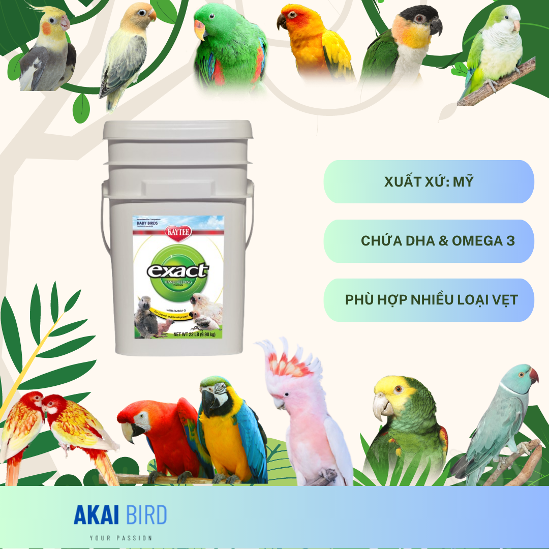 [100Gr] Bột A19 / A21 / Kaytee Dành Cho Vẹt Non...