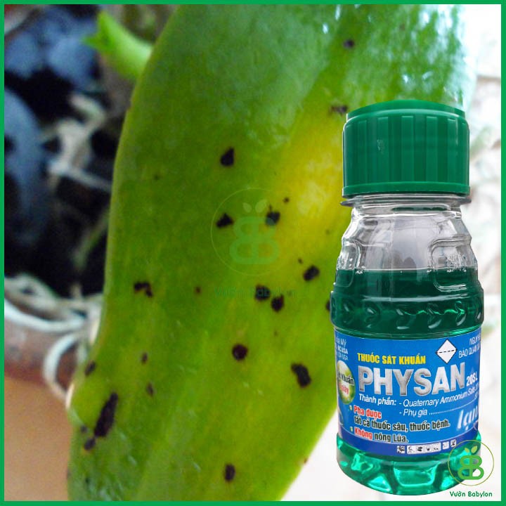 1 chai Physan 20SL 100ml