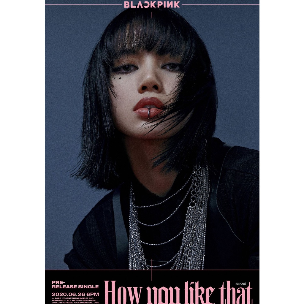 Poster treo tường hình blackpink jennie jisoo lisa rose idol