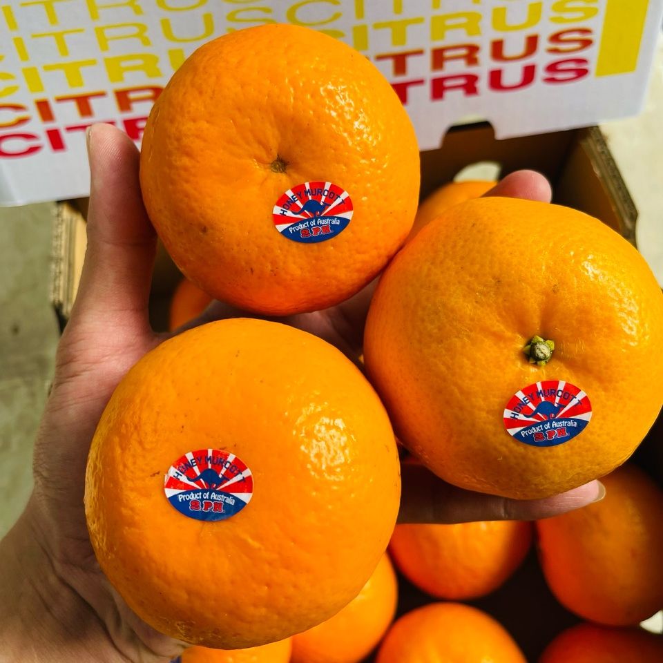 Vg farm quýt úc - mới về cứng trái, vỏ mỏng, thơm ngọt