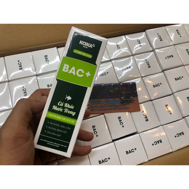 MEN VI SINH KOIKA BAC+ | MEN TIÊU HÓA CHO CÁ