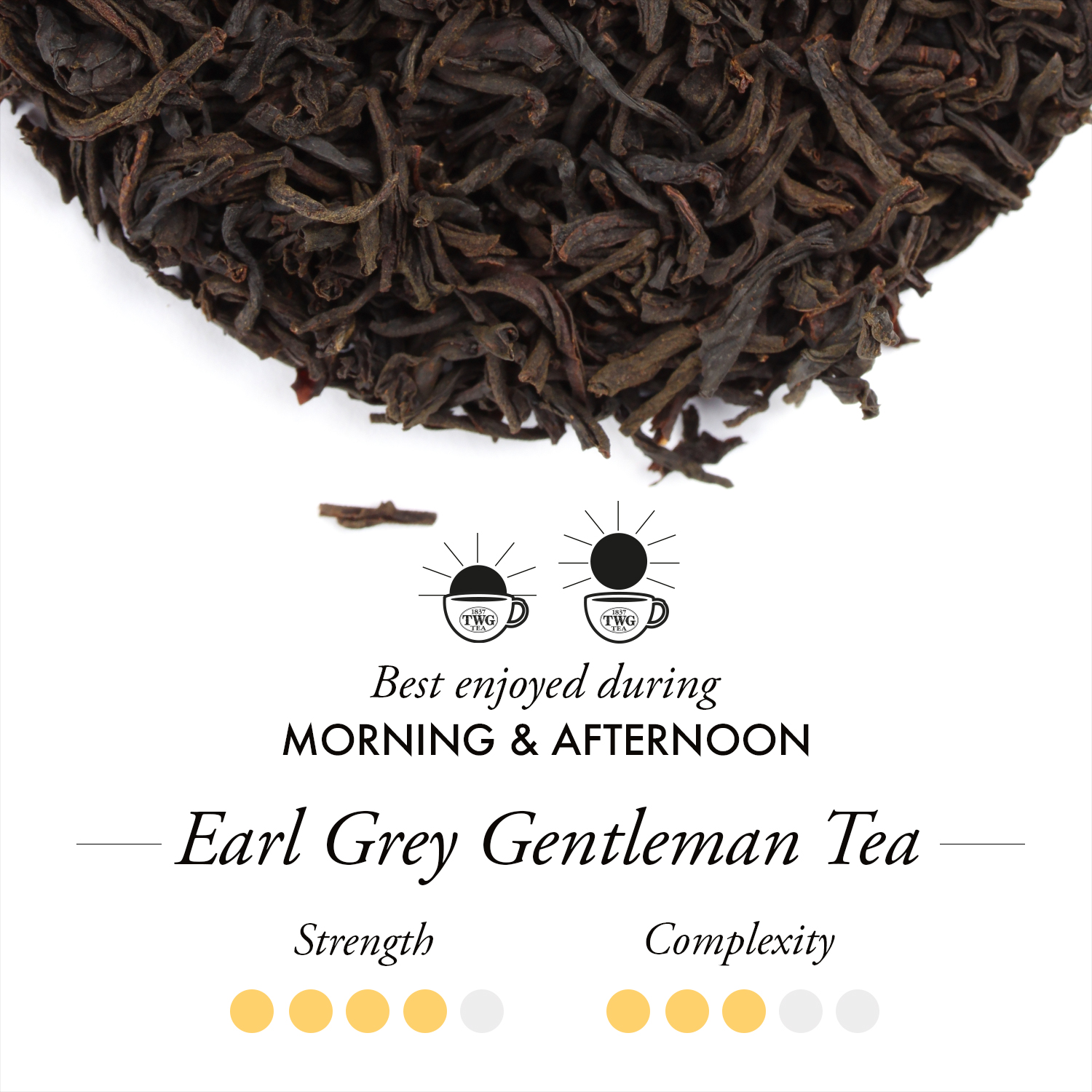 TWG Tea - Earl Grey Gentlement (100g) | Black Tea