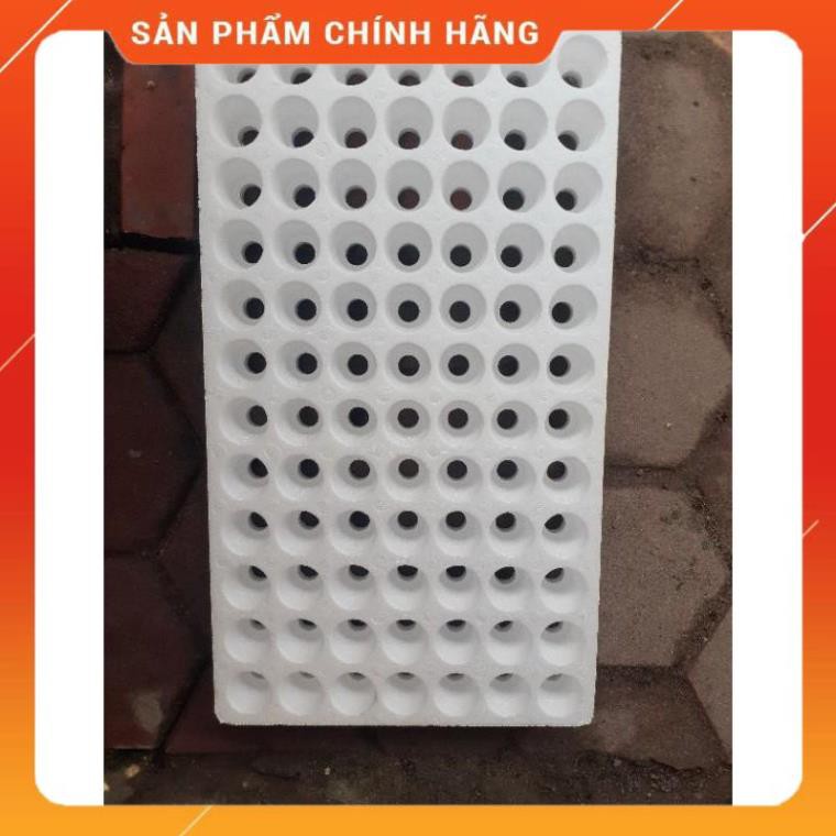 Khay xốp ươm hạt 84 lỗ