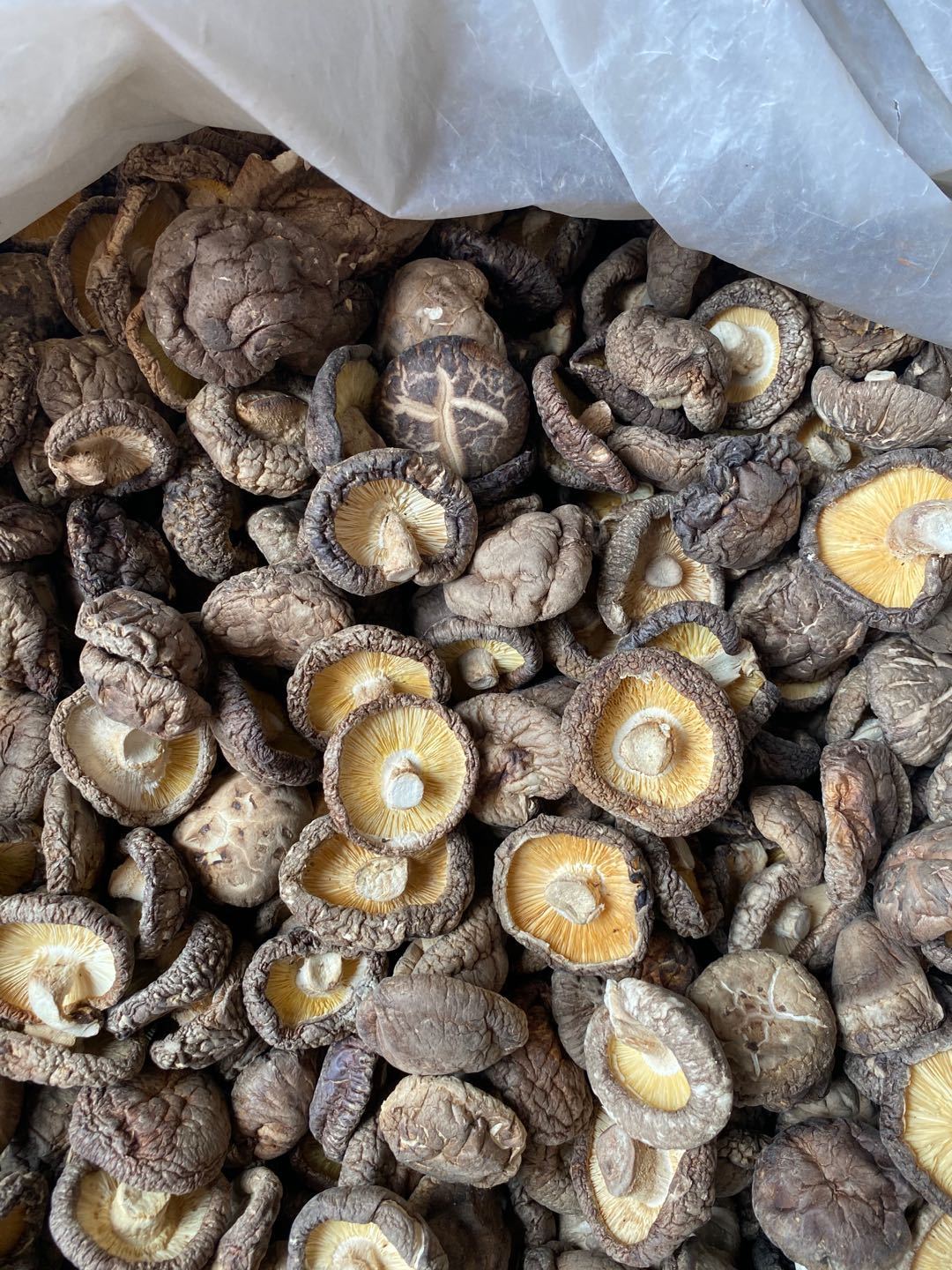 [HCM] Nấm Đông Cô ( Nấm Hương) Khô 100 Gram