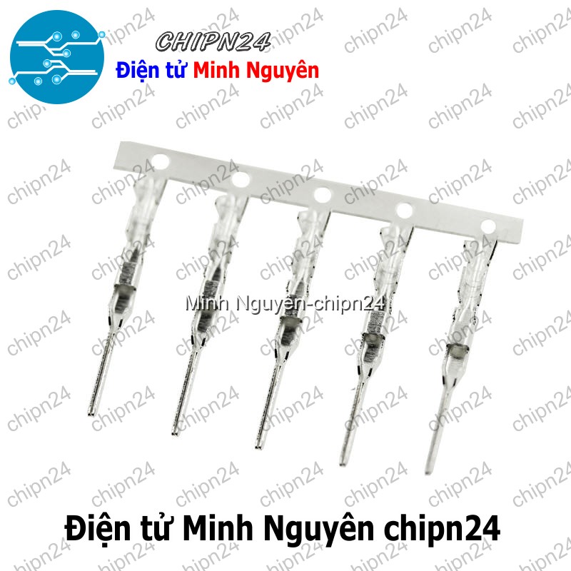 [25 cái] (I2) Lõi Header SM Dupont Đực 2.54mm (Dùng bấm đầu dây điện cho Dây cắm Testboard) - HH004995