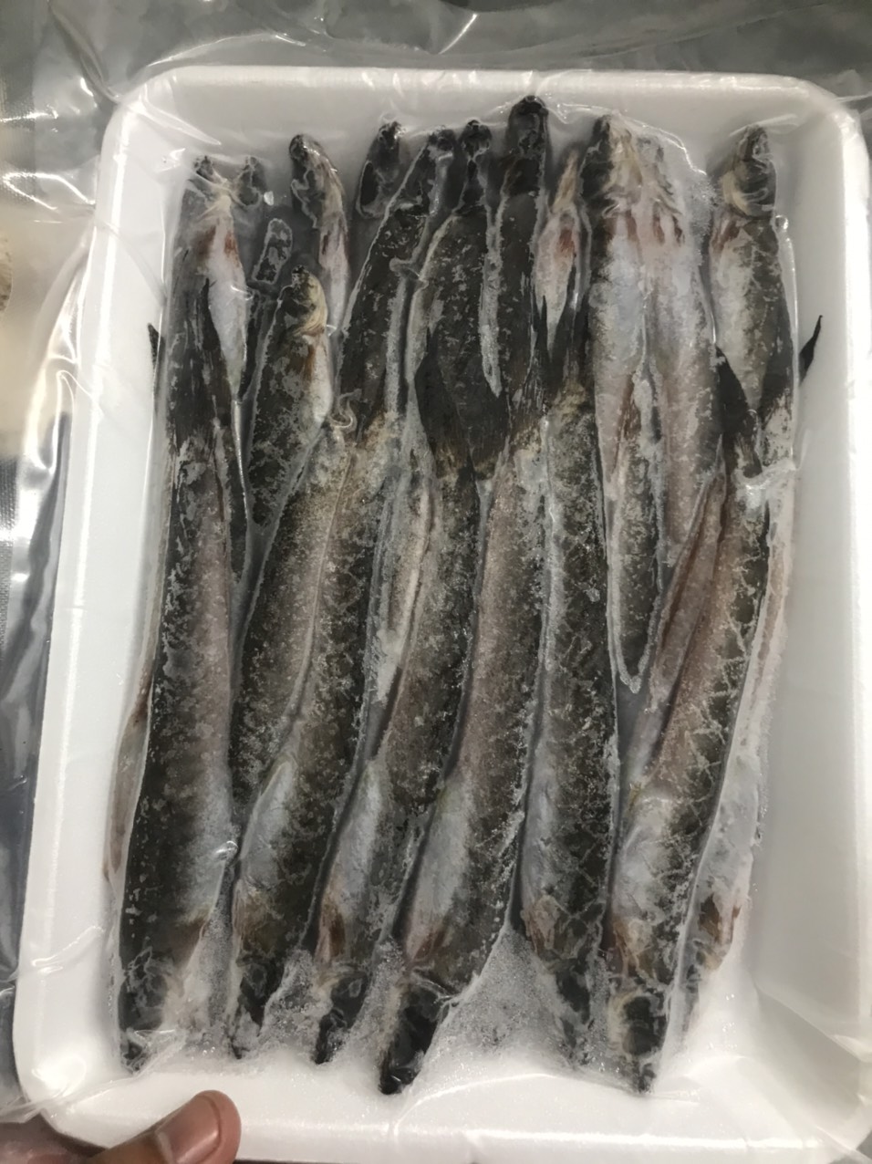 [HCM]KHÔ CÁ KÈO 1 NẮNG