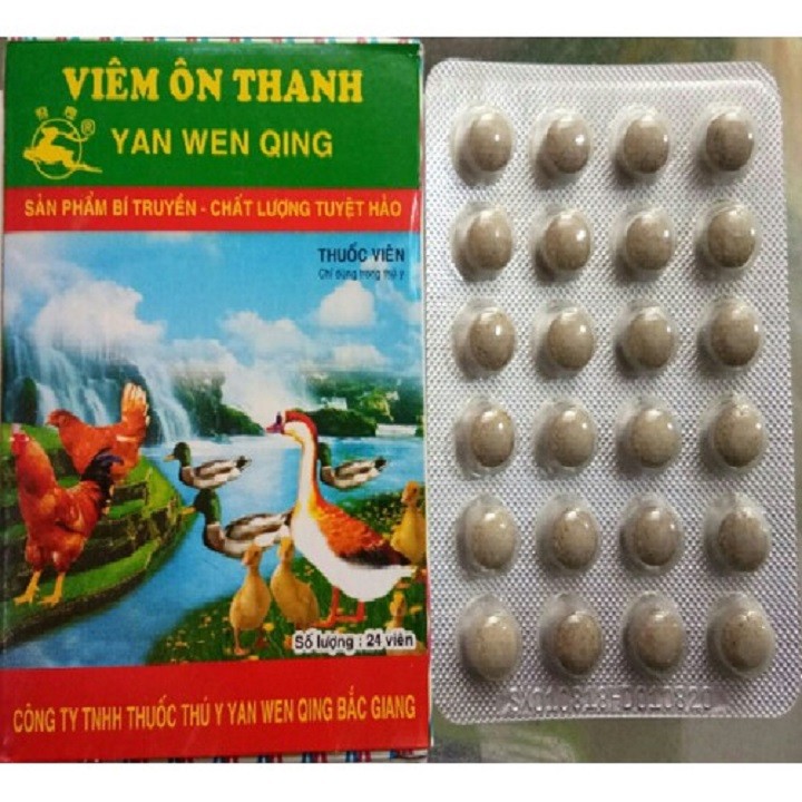 VIÊM ÔN THANH