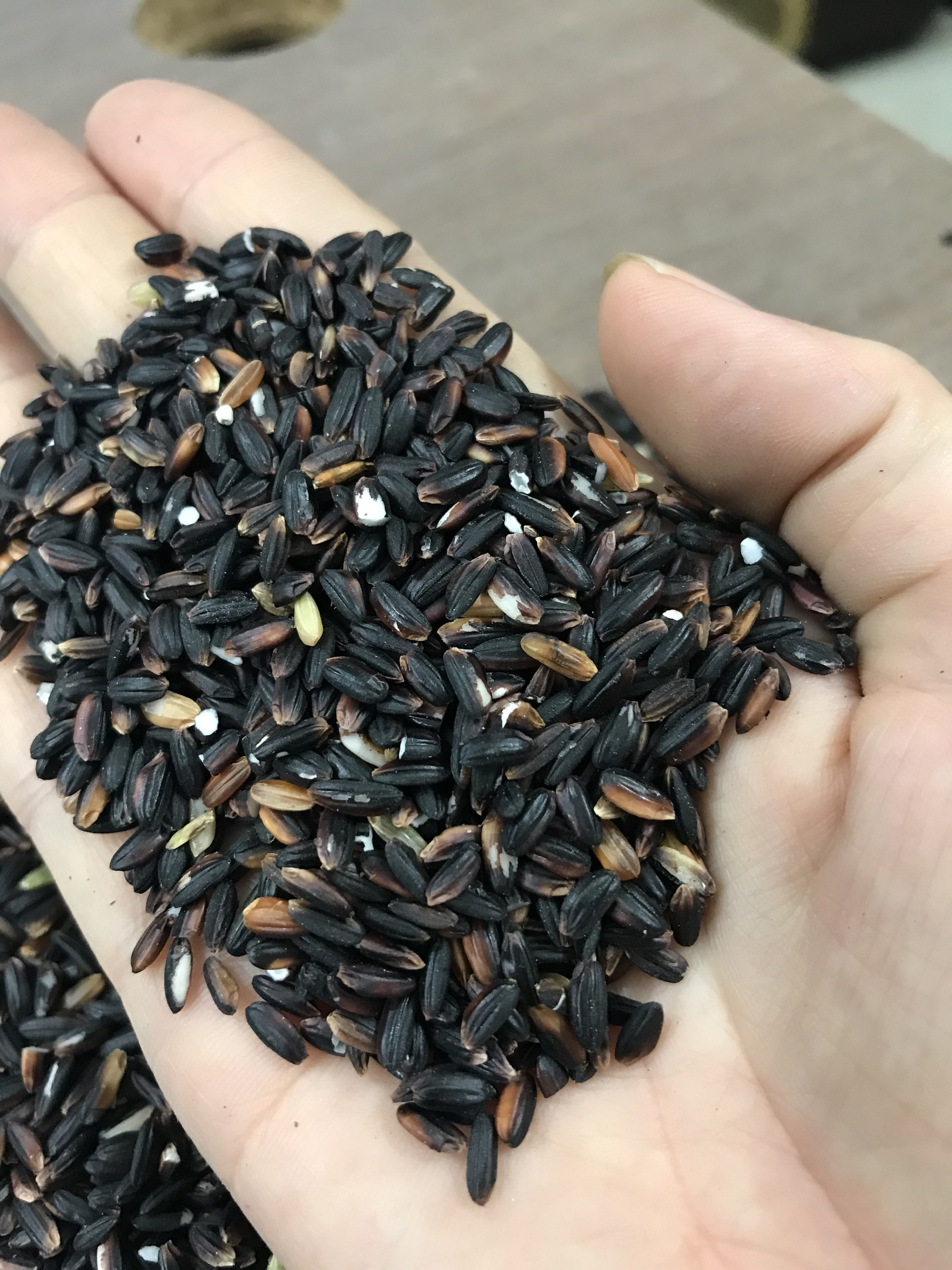 GẠO NẾP CẨM TÂY BẮC -túi 1kg