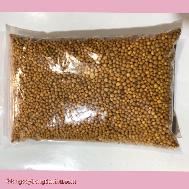 PHÂN BÓN CHẬM TAN HẠT VÀNG (14-14-14) THÁI LAN 500gr