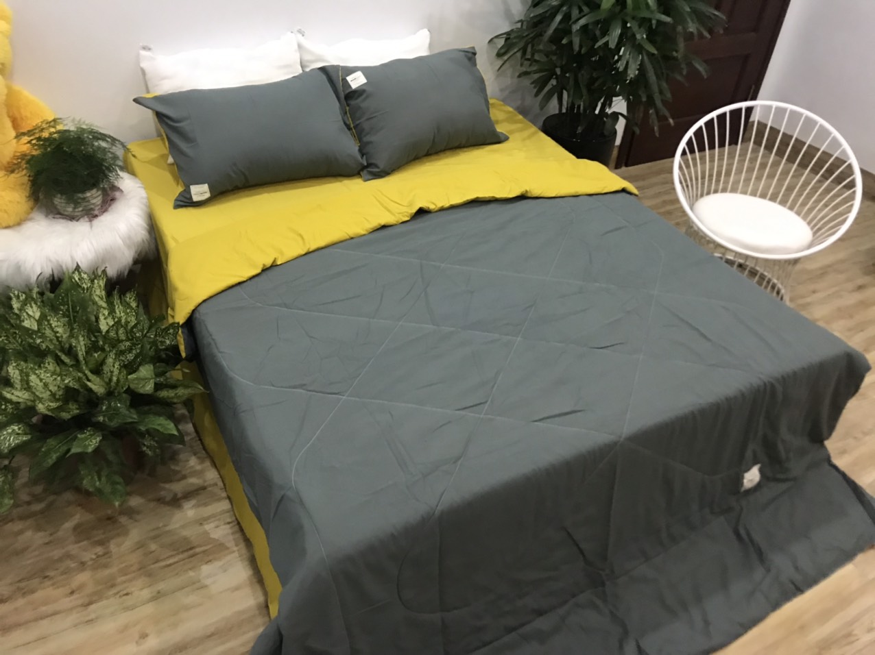 Bộ Chăn Ga Gối Cotton TiCi ( gồm 1 chăn hè đã chần bông, 1 ga và 2 vỏ gôi nằm )