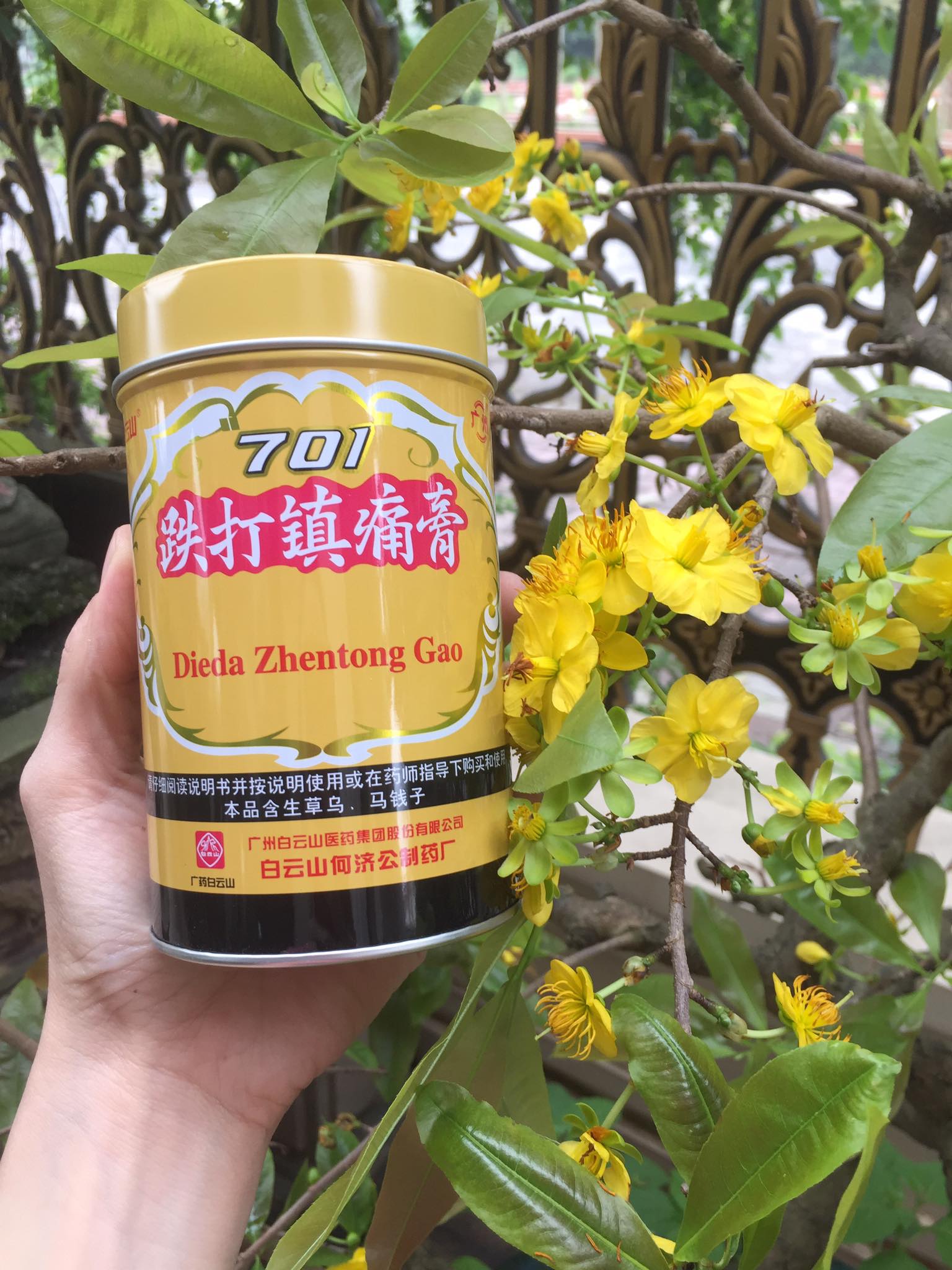 Cao dán Đông Y 701 dùng trong châm cứu