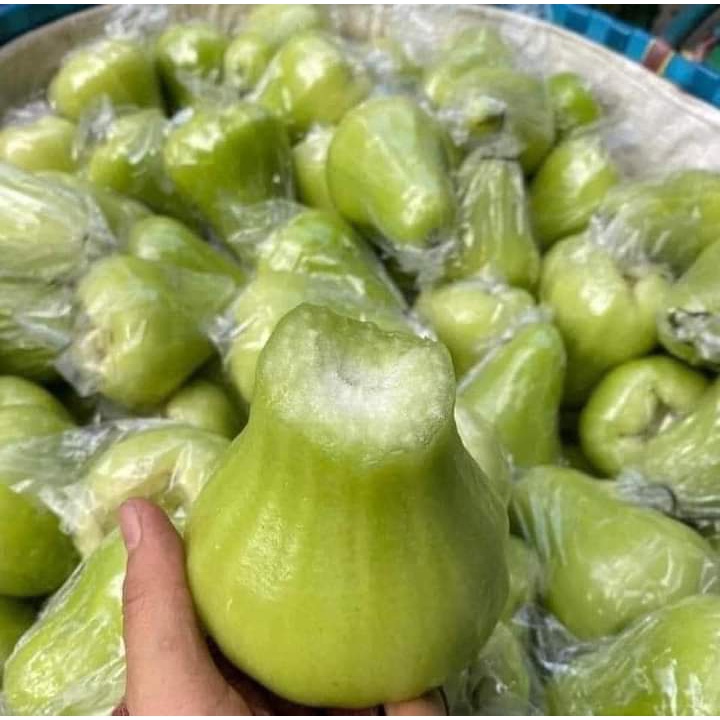 CÂY MẬN XANH TAM HOA (CÂY GHÉP SIÊU SỚM)