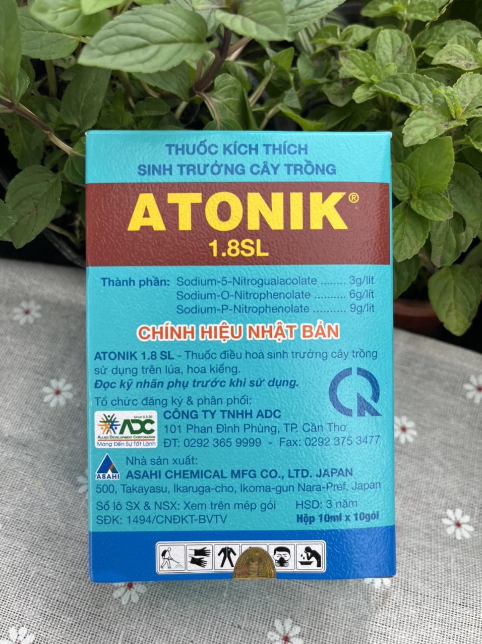 Atonik kích rễ cho cây