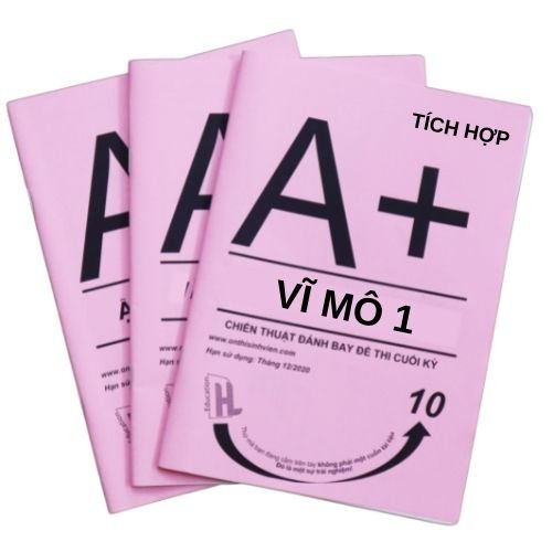 TL A+ Vỹ mô 1 (VIP)