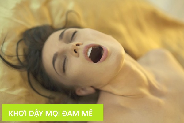Tinh Dầu Massage Yoni giúp cải thiện cảm xúc cho Nam và Nữ- Dầu Yoni Spa