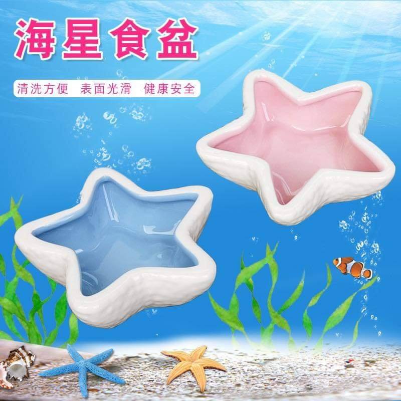 Chén sứ ngôi sao dành cho hamster, thỏ, bọ, sóc, nhím, ....- T3 PETS SHOP