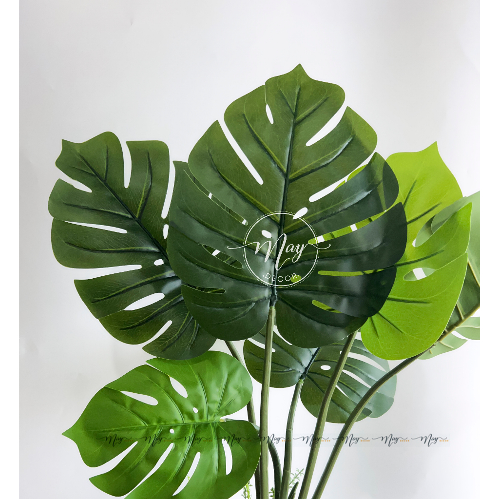 Cây giả, Trầu bà lá xẻ cao cấp, Monstera lá to dày dặn