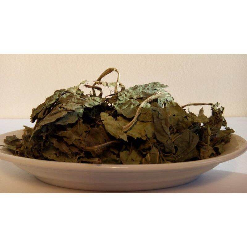 1 kg cây mã đề khô thơm sạch.