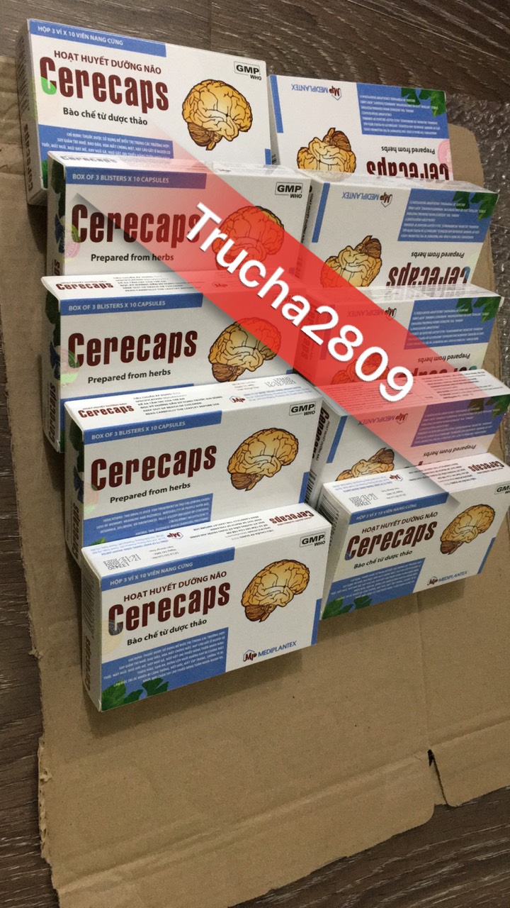 Hoạt huyết dưỡng não Cerecaps