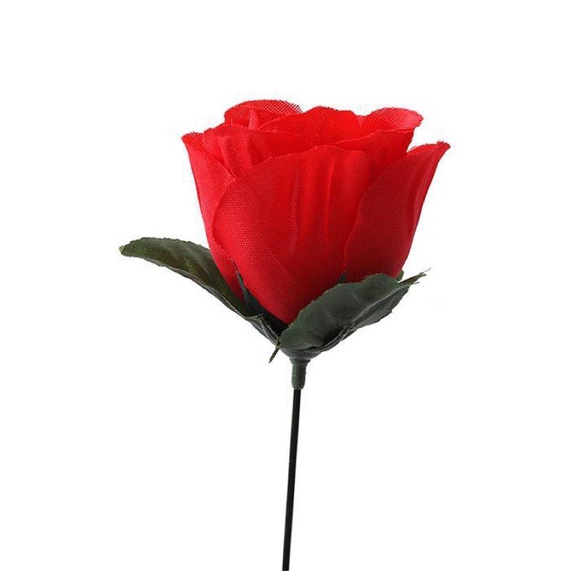 Ảo Thuật Lửa Hoá Hoa Hồng