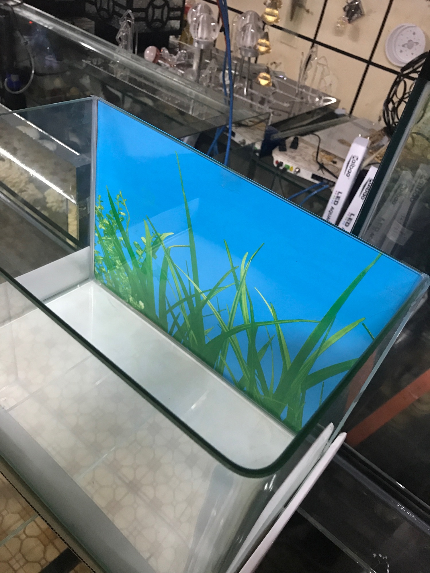 [FreeshipMAX] ( RẺ VÔ ĐỊCH ) bể cá . Hồ cá cảnh . Hồ đúc dài 30cm .thuỷ sinh