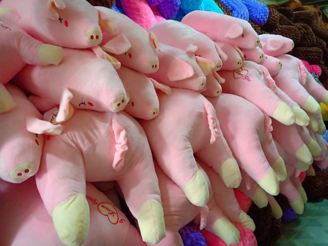 Gấu bông HEO LƯỜI size lớn
